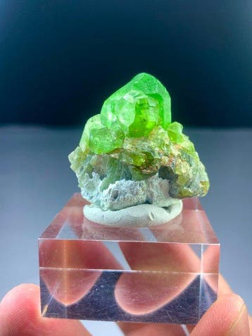 Peridot-exemplaar Kristalen- 35 g - (1), Collections