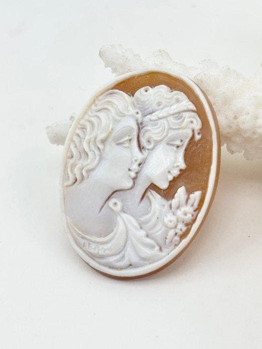 CASSIS MADAGASCARIENSIS - Cameo - Handgesneden camee, Collections, Collections Animaux