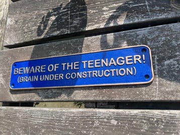Decoratief ornament - beware of the teenager - Europa