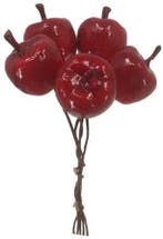 Appeltjes Rood 2 cm zak 20 stuks, Nieuw