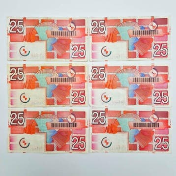Pays-Bas. - 6 x 25 Gulden - 1989 - PL71 (Sans prix de