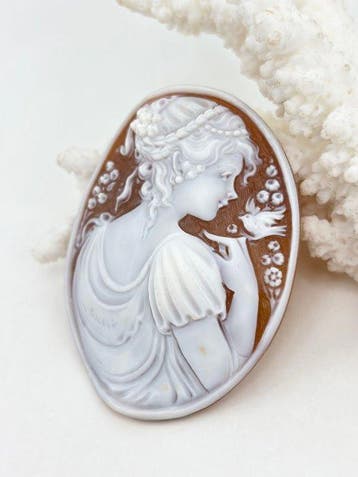 CASSIS MADAGASCARIENSIS - Cameo - Handgesneden camee