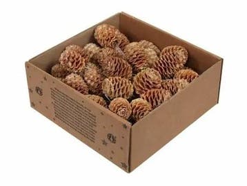 Sabulosum Naturel op draad doos ca. 50 stuks