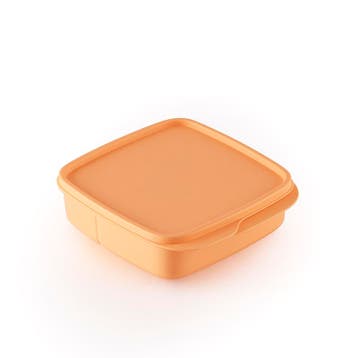 Tupperware Snackbox Oranje, Huis en Inrichting, Verzenden, Nieuw