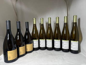 3x Winkl Kellerei Cantina Terlan Winkl ; 9 x Cantina Valle, Nieuw