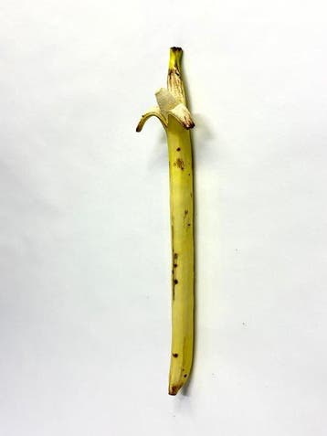 Koji Kasatani - Long Banana