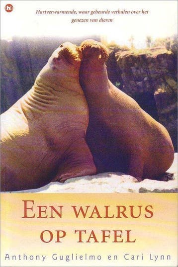 Een walrus op tafel - Cari, Verzenden, Nieuw