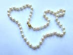 Sans prix de réserve - Collier de perles Or jaune 14 carats, Bijoux, Sacs & Beauté