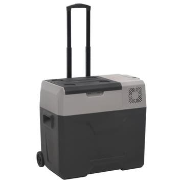 vidaXL Koelbox met wielen en handvat 30 L polypropeen zwart, Verzenden