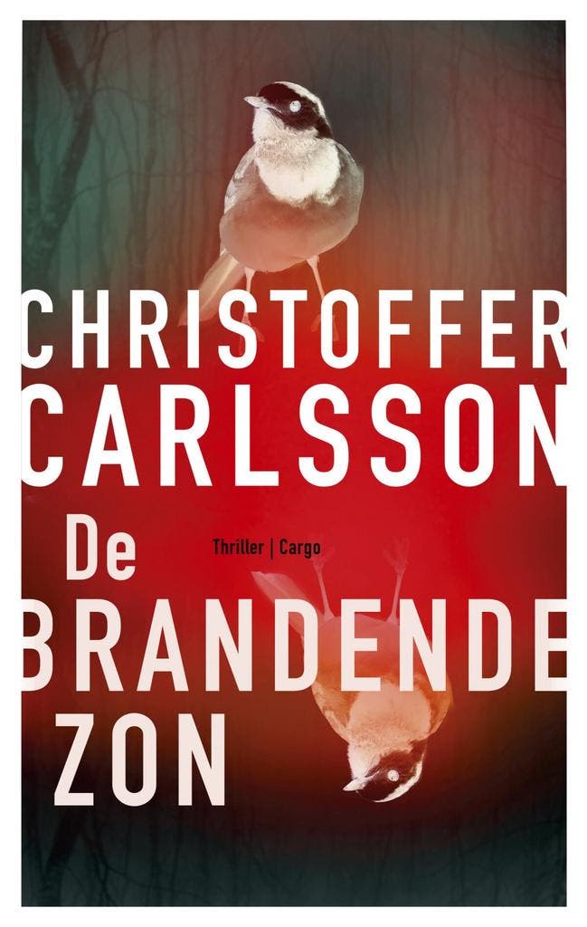 De brandende zon (9789403169910, Christoffer Carlsson), Livres, Romans, Envoi