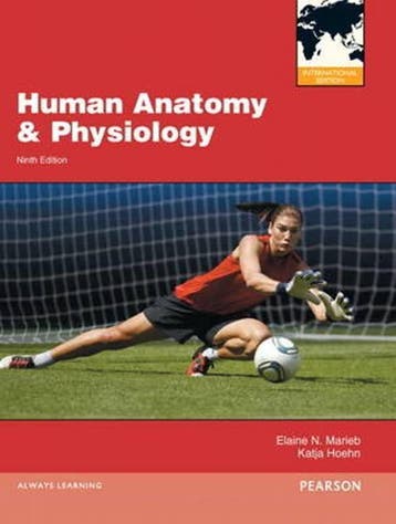 Human Anatomy & Physiology 9780321799173 Elaine N. Marieb, Boeken, Verzenden, Gelezen, Elaine N. Marieb