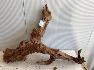 Fine Sinking Wood Selected  FS337 105x85x25cm, Ophalen of Verzenden, Plant(en), Steen of Hout
