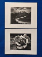 Ansel Adams (1902–1984) - The Tetons and the Snake River,, Antiek en Kunst