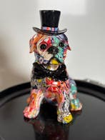 Rob VanMore - VANMORE Gentleman Puppy