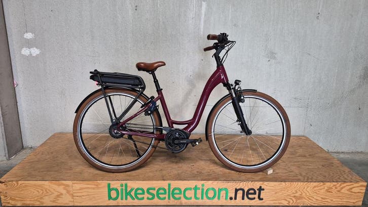 E-Bike | Riese & Muller Swing 4 Vario | -56%, Vélos & Vélomoteurs, Vélos électriques, Enlèvement