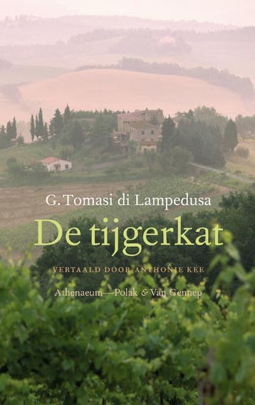 De tijgerkat 9789025331504 G. Tomasi di Lampedusa, Verzenden, Zo goed als nieuw, G. Tomasi di Lampedusa