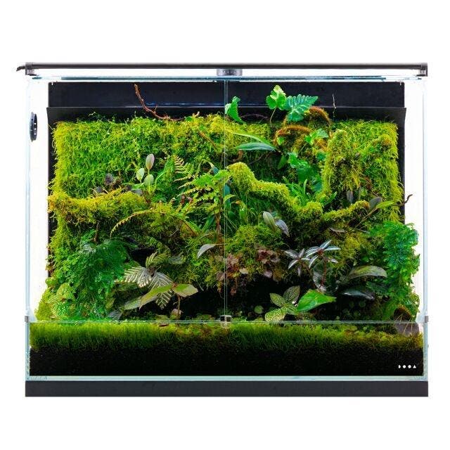 DOOA System Paluda, Animaux & Accessoires, Poissons | Aquariums & Accessoires, Envoi