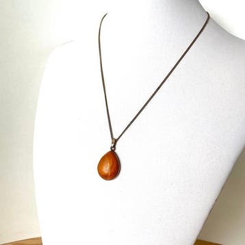 Oude hanger met natuurlijk Baltisch amber en ketting -