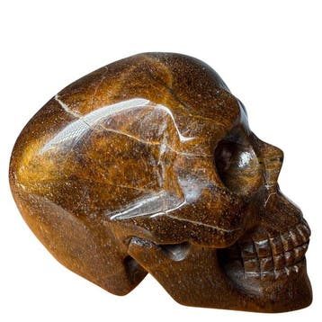 Premium tijgeroog-schedel Gravure - Hoogte: 60 mm - Breedte: