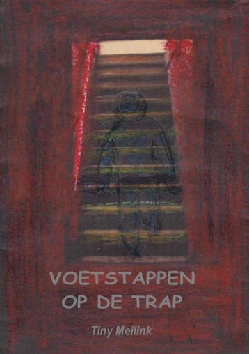 Voetstappen op de trap. 9789403605364 Tiny Meilink, Verzenden, Zo goed als nieuw, Tiny Meilink