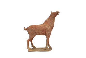 Oud Chinees, Tang-dynastie Terracotta Uiterst zeldzaam groot, Antiek en Kunst