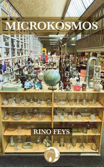 Microkosmos 9789462672574 Rino Feys, Boeken, Verzenden, Gelezen, Rino Feys