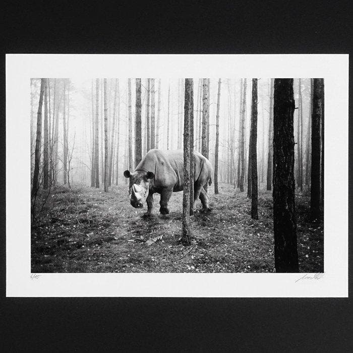 Frank Machalowski - tierwald#141 - Rhino, Antiquités & Art, Art | Objets design