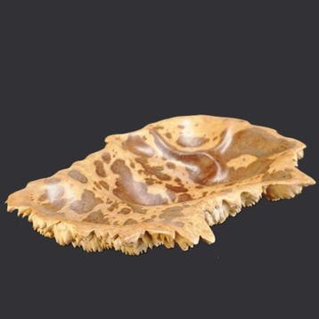 Unieke Handgesneden houten schaal van York Gum (Burl) -