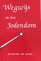 WEGWIJS IN HET JODENDOM 9789071727122 Pearl, Boeken, Verzenden, Gelezen, Pearl