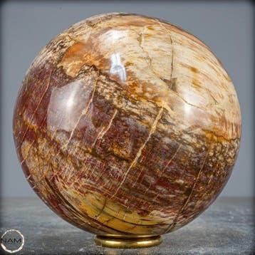 Natuurlijke sfeer van versteend hout- 3135.37 g