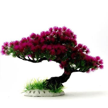 Bonsai boom 30 cm / Aquarium decoratie As-223 (Hardscaping), Verzenden, Gevuld zeewateraquarium
