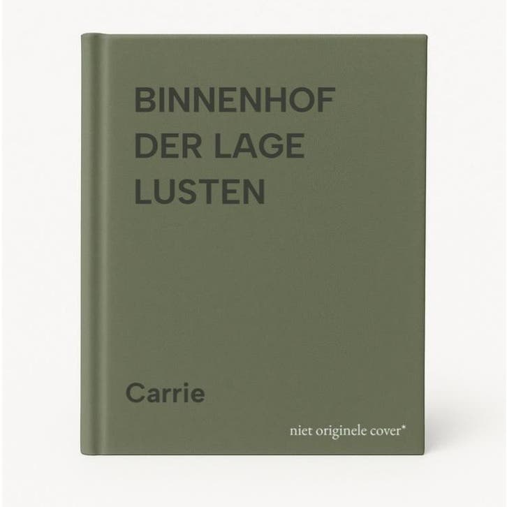 BINNENHOF DER LAGE LUSTEN 9789026116148 Carrie, Livres, Littérature, Envoi