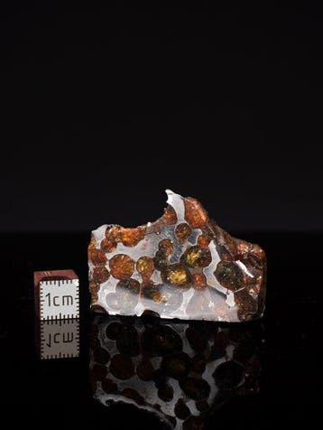 Météorite de Sericho Pallasites - 38 g - (1)