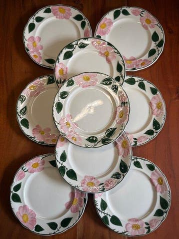 Villeroy & Boch - Eetservies - Porselein - Wildrose - 21 cm