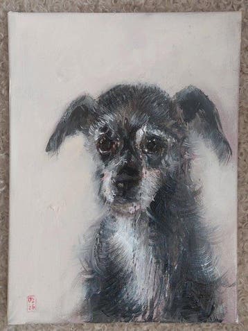 Dorien Plaat - Scruffy dear