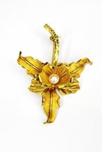 Broche - 18 karaat Geel goud, Roségoud Parel