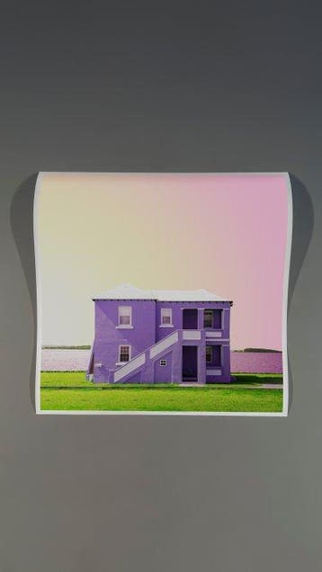 Téber - Equanimity (Violet) · XL