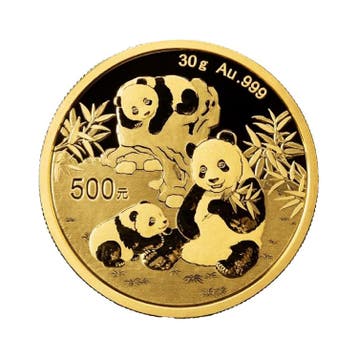 30 gram gouden Panda munt 2025