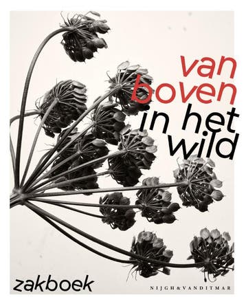 Van Boven in het wild zakboek 9789038811291 Yvette van Boven, Verzenden, Zo goed als nieuw, Yvette van Boven