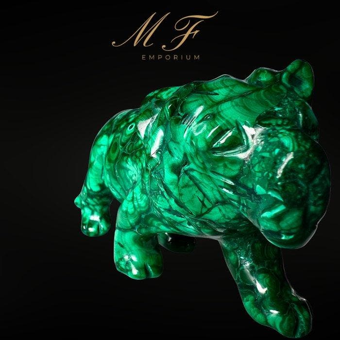 Lyon en natuurlijke malachiet uit Congo van de hoogste, Verzamelen, Mineralen en Fossielen