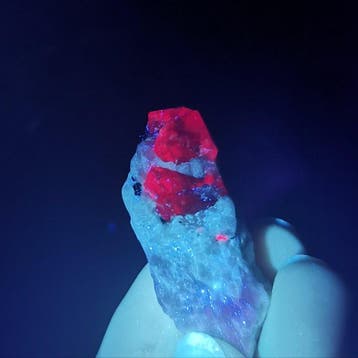 13,56 g / 67,85 ct robijn met grafiettekening · Sar-e-Sang ·