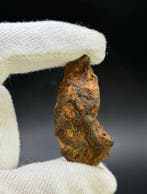 Météorite de Sericho Pallasites - 19 g - (1)