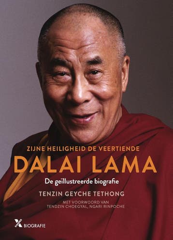 Dalai Lama, de biografie 9789401613224 Tenzin Geyche Tethong, Verzenden, Tenzin Geyche Tethong