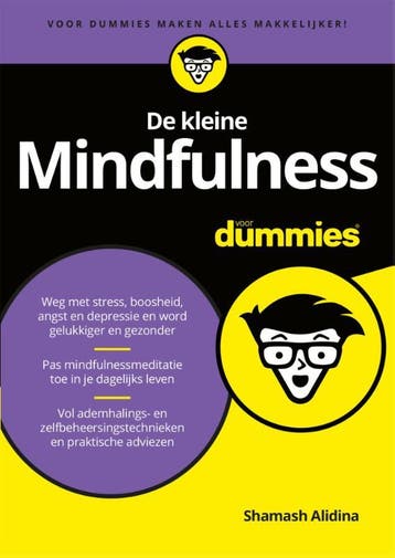De kleine mindfulness voor dummies / Voor Dummies, Verzenden, Shamash Alidina