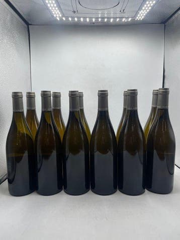 2022 Domaine Jean Monnier & Fils - Bourgogne Côte d’Or