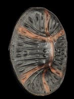 Schild. - Sidamo/Arussi. - Ethiopië