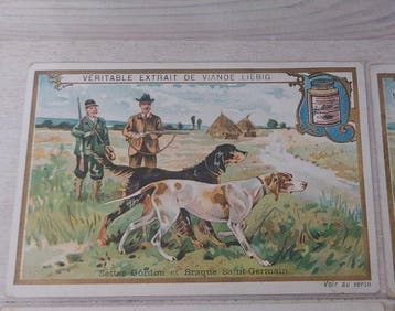 France - Liebig S 615 - Races de chiens - Ensemble complet -