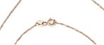 Hanger - 18 karaat Roségoud - 0.58ct. tw. Diamant
