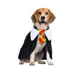 Harry Potter Kostuum Hond, Verzenden, Nieuw