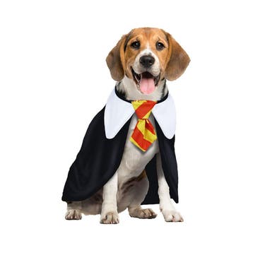 Harry Potter Kostuum Hond, Verzenden, Nieuw